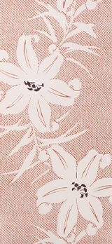 大ゆり疋田［オオユリヒッタ］・マロン