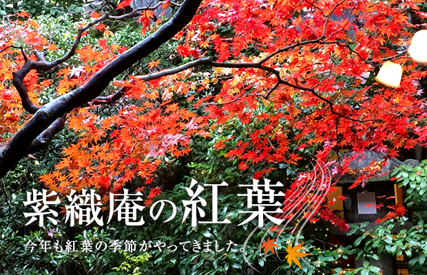 紫織庵の紅葉